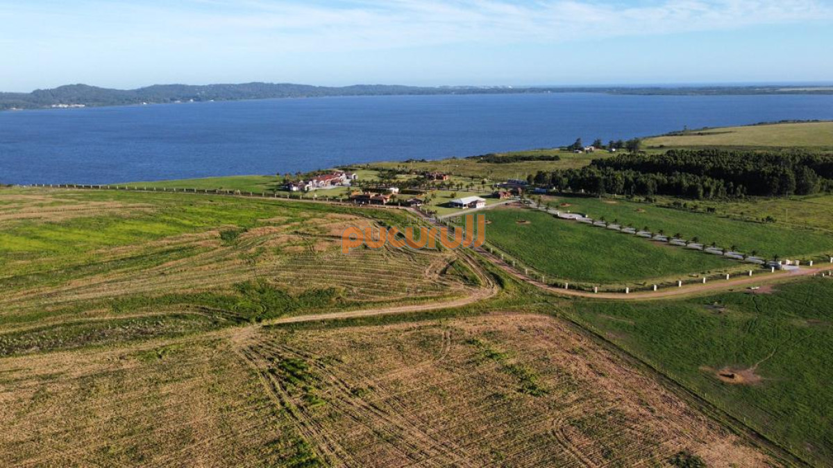 Campo Ref.3149 - Chacra con frente a laguna.
