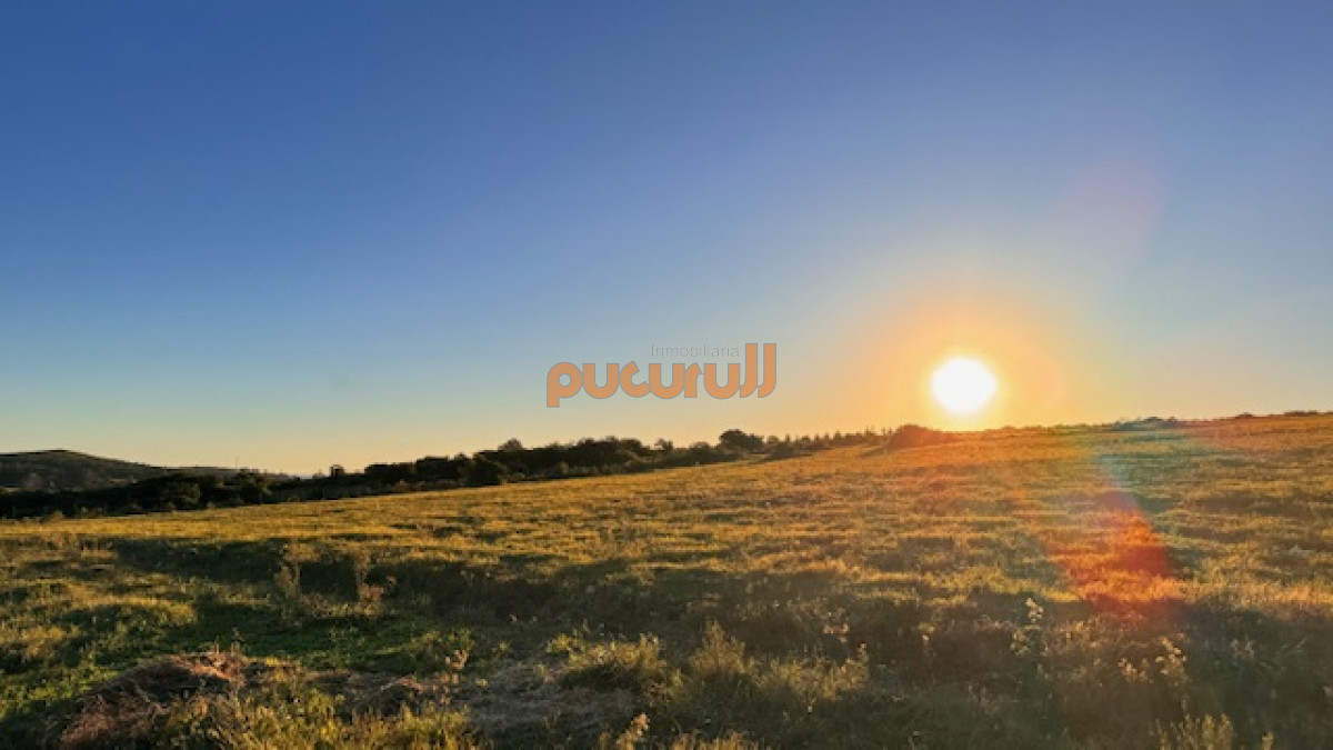 Campo Ref.1742 - Chacra de 6 has con 664 m2 - cerca de Piriapolis y del parque de fauna natural