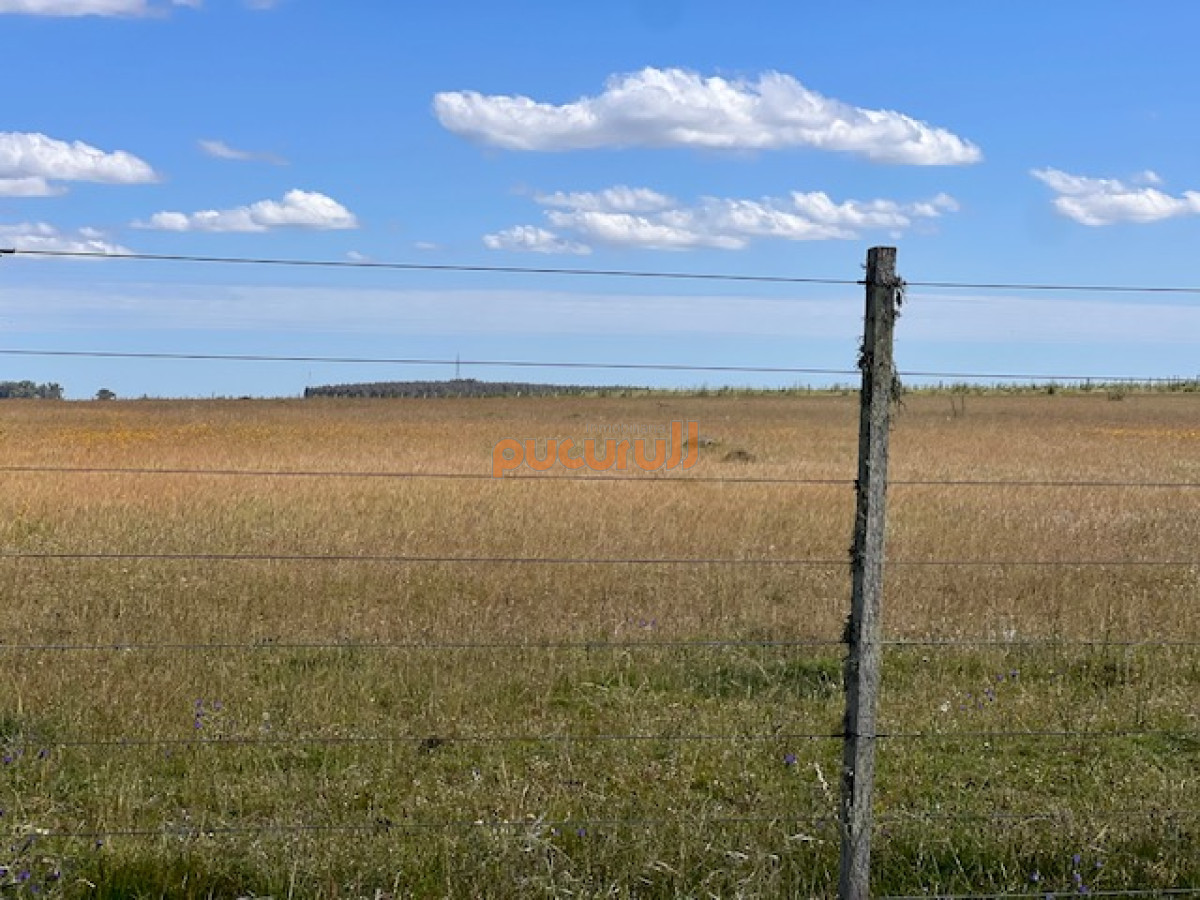 Campo en Durazno - GoPunta - Portal Inmobiliario de Punta del Este - Maldonado