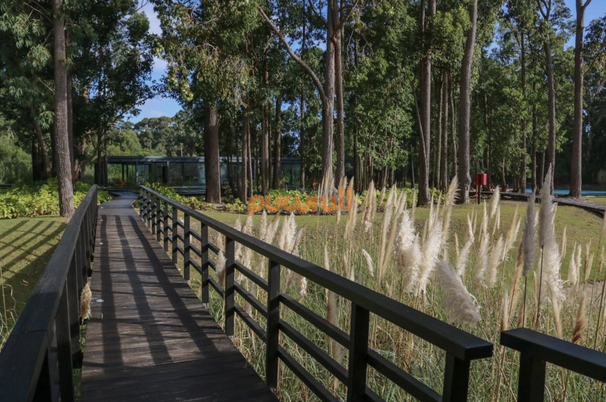 Punta Ballena - GoPunta - Portal Inmobiliario de Punta del Este - Maldonado
