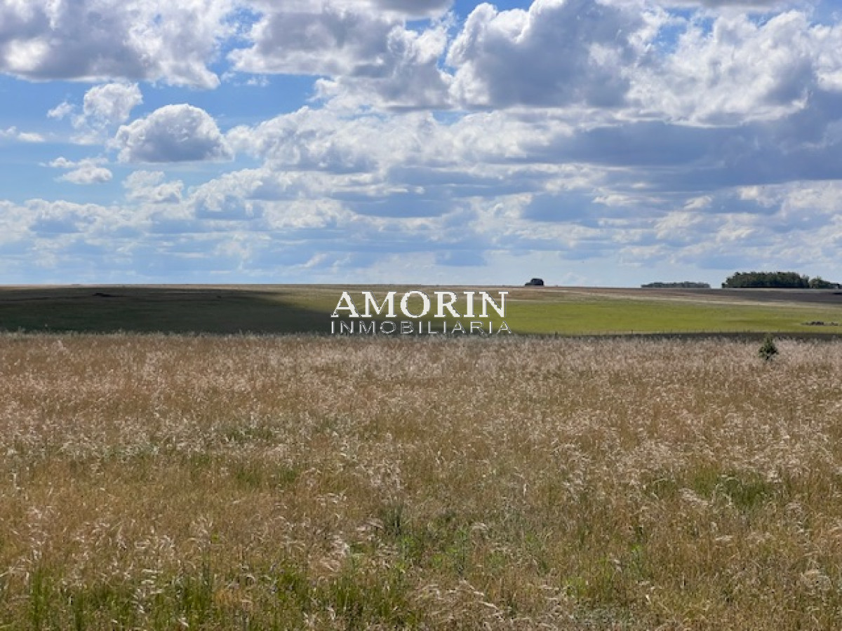 Campo Ref.803 - Campo en Durazno