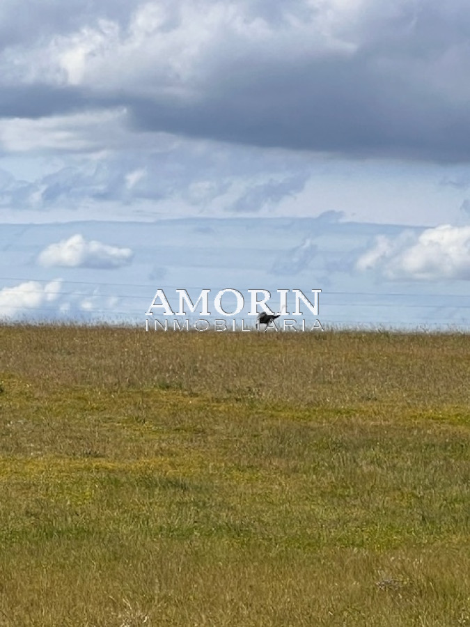Campo Ref.803 - Campo en Durazno