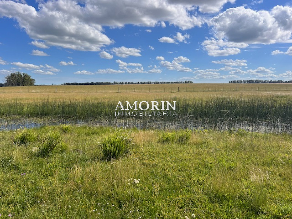 Campo Ref.803 - Campo en Durazno