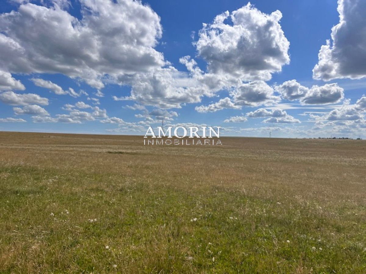 Campo Ref.803 - Campo en Durazno
