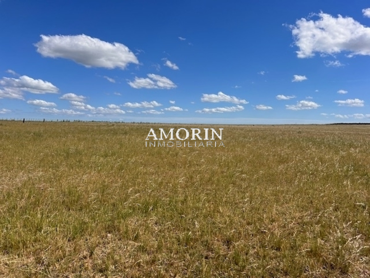 Campo Ref.803 - Campo en Durazno