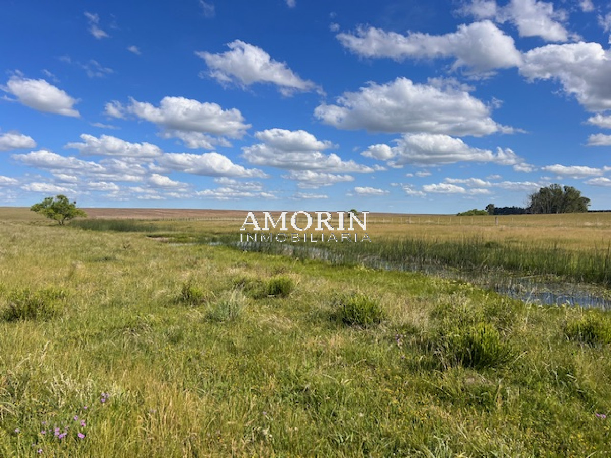 Campo Ref.803 - Campo en Durazno