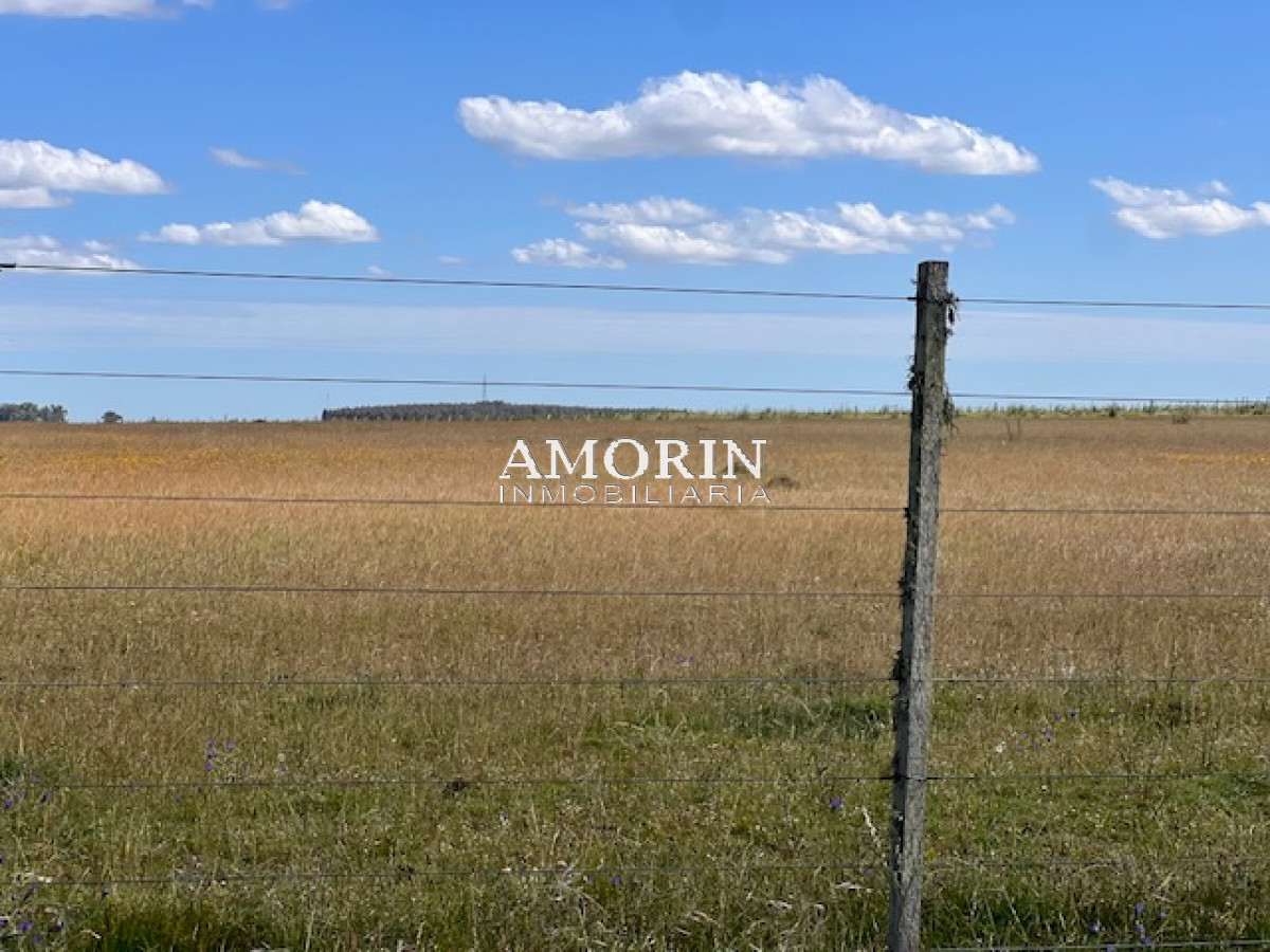 Campo Ref.803 - Campo en Durazno