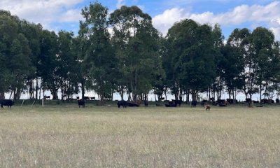 Campo en Durazno