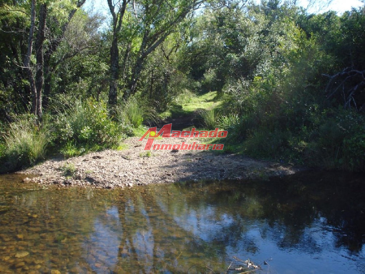 Campo 96 has en Carape cuenta con costa de arroyo. - GoPunta - Portal Inmobiliario de Punta del Este - Maldonado