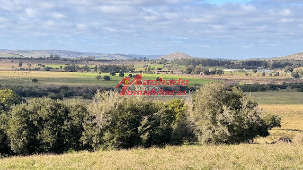 Campo 57 has   Agricola Ganadero cerca de Minas! muy bueno! - GoPunta - Portal Inmobiliario de Punta del Este - Maldonado