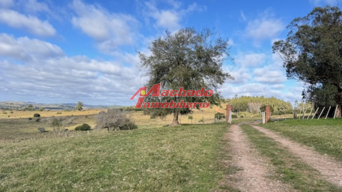 Campo 57 has   Agricola Ganadero cerca de Minas! muy bueno! - GoPunta - Portal Inmobiliario de Punta del Este - Maldonado