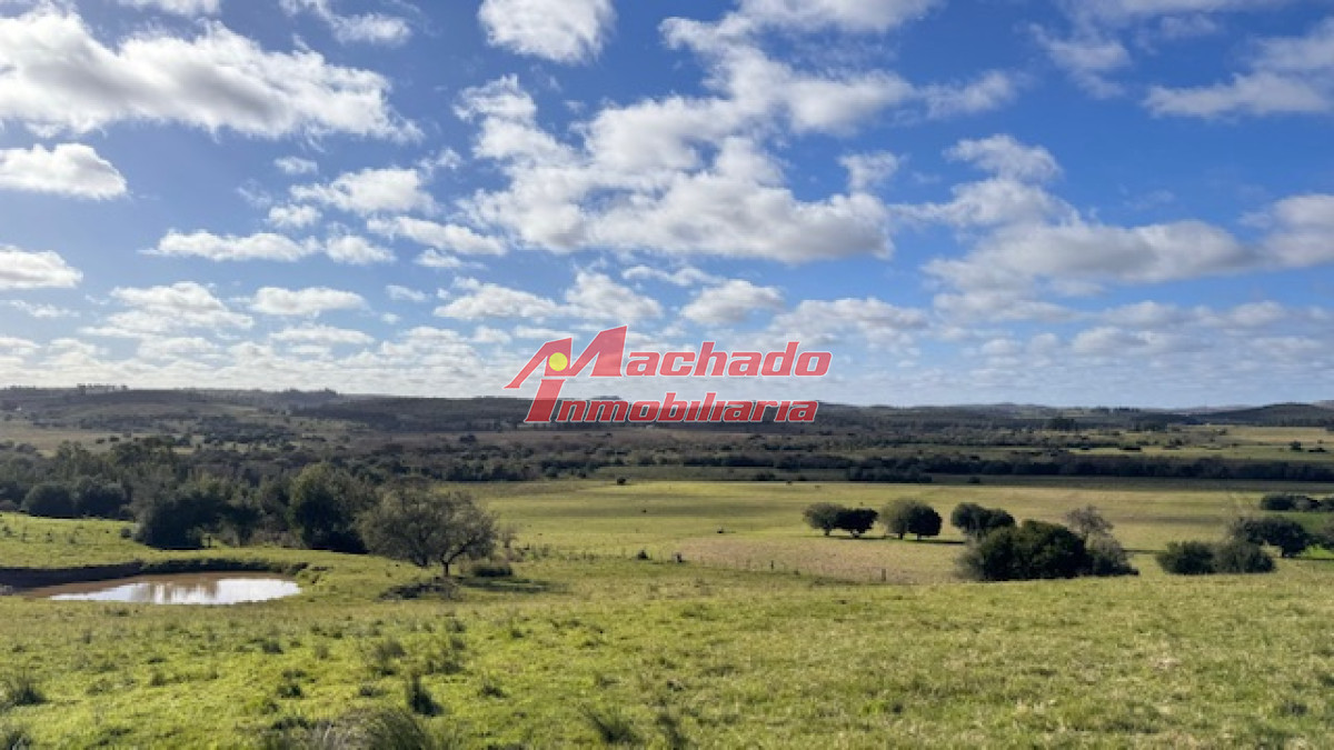 Campo 57 has   Agricola Ganadero cerca de Minas! muy bueno! - GoPunta - Portal Inmobiliario de Punta del Este - Maldonado