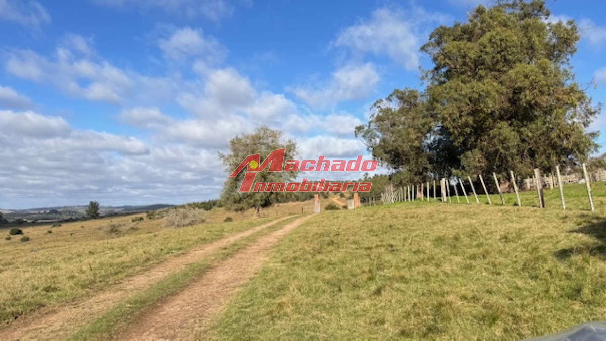 Campo 57 has   Agricola Ganadero cerca de Minas! muy bueno! - GoPunta - Portal Inmobiliario de Punta del Este - Maldonado