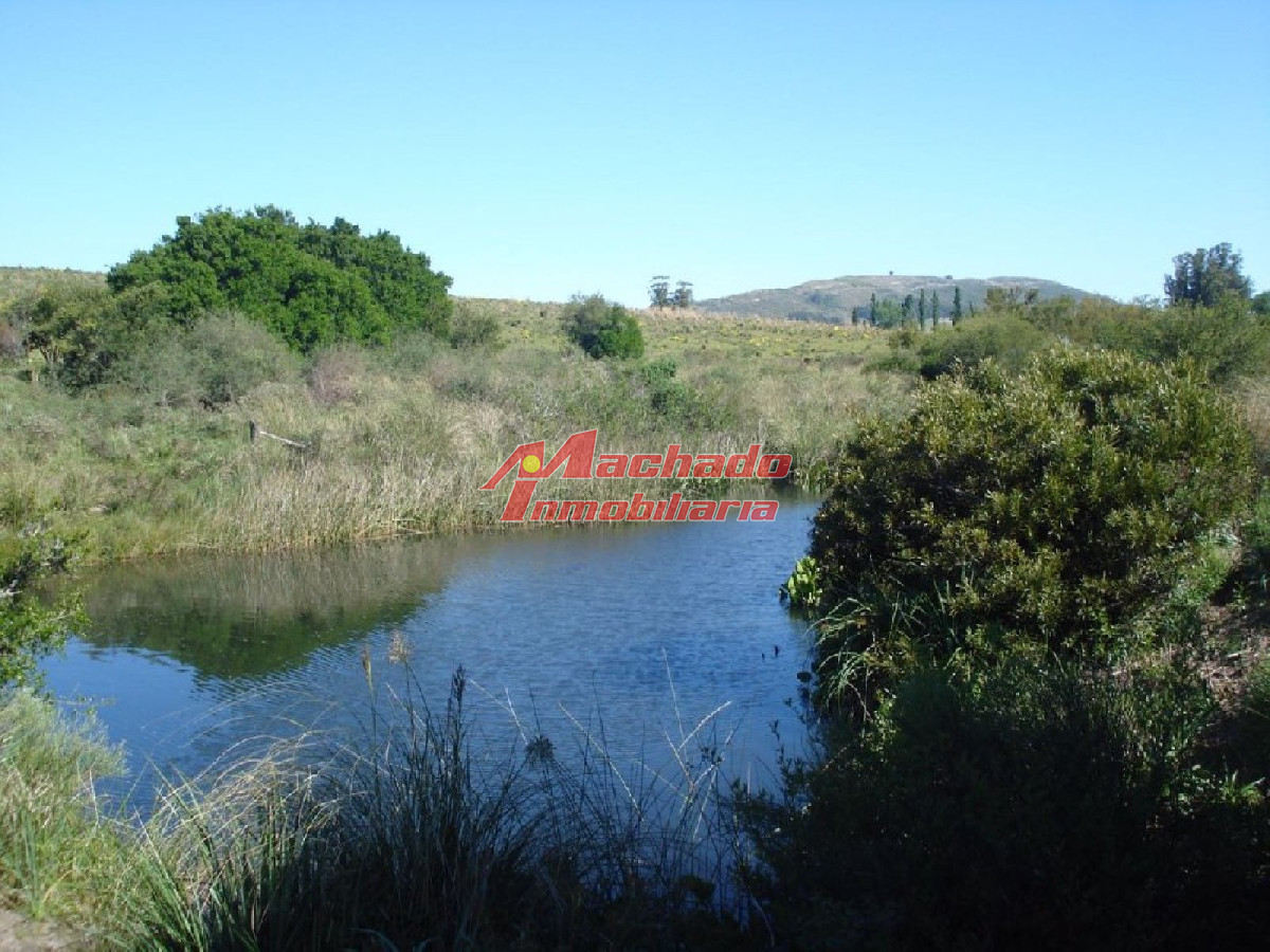 Campo 96 has en Carape cuenta con costa de arroyo. - GoPunta - Portal Inmobiliario de Punta del Este - Maldonado