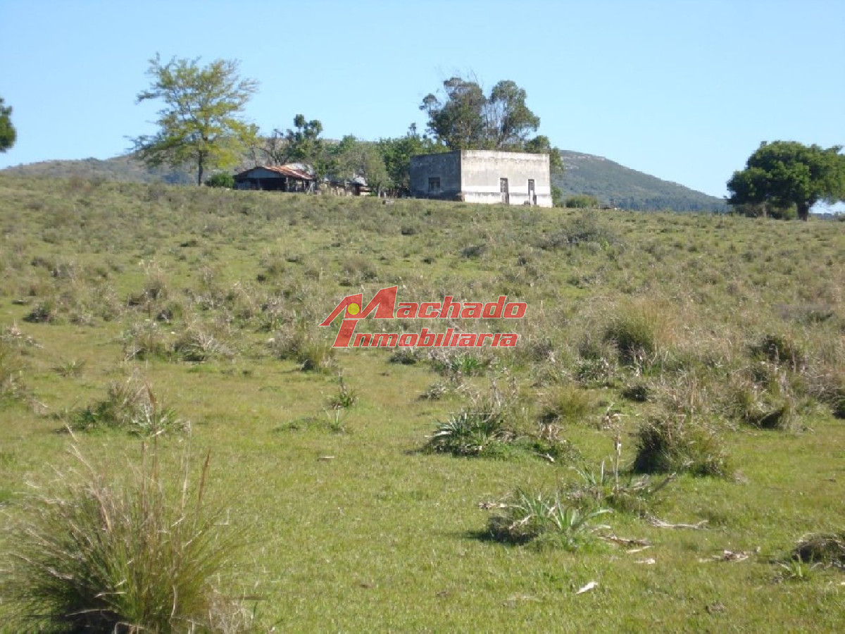 Campo 96 has en Carape cuenta con costa de arroyo. - GoPunta - Portal Inmobiliario de Punta del Este - Maldonado