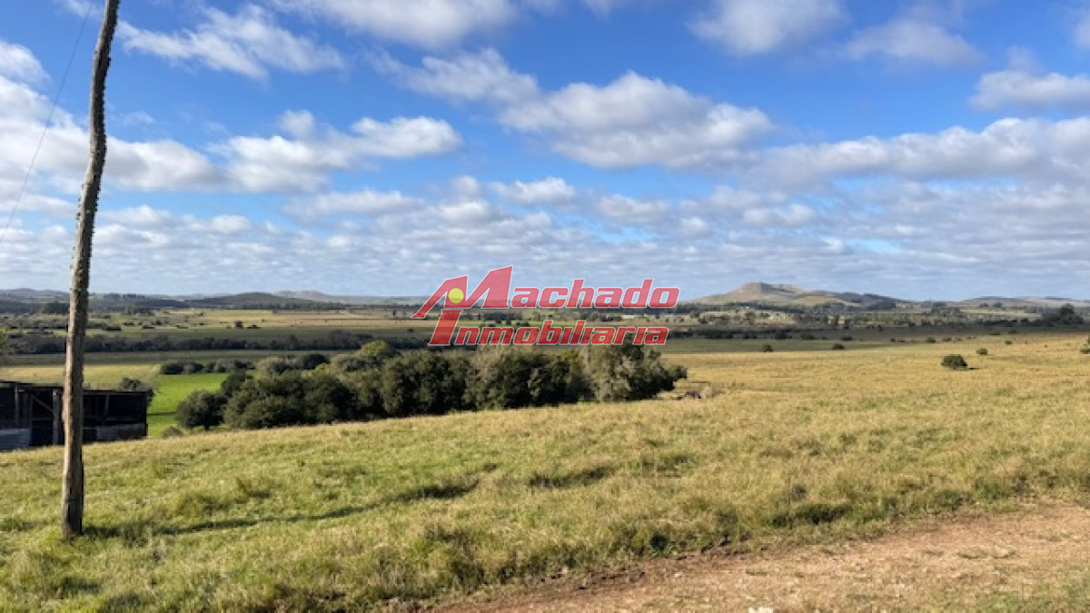 Campo 57 has   Agricola Ganadero cerca de Minas! muy bueno! - GoPunta - Portal Inmobiliario de Punta del Este - Maldonado