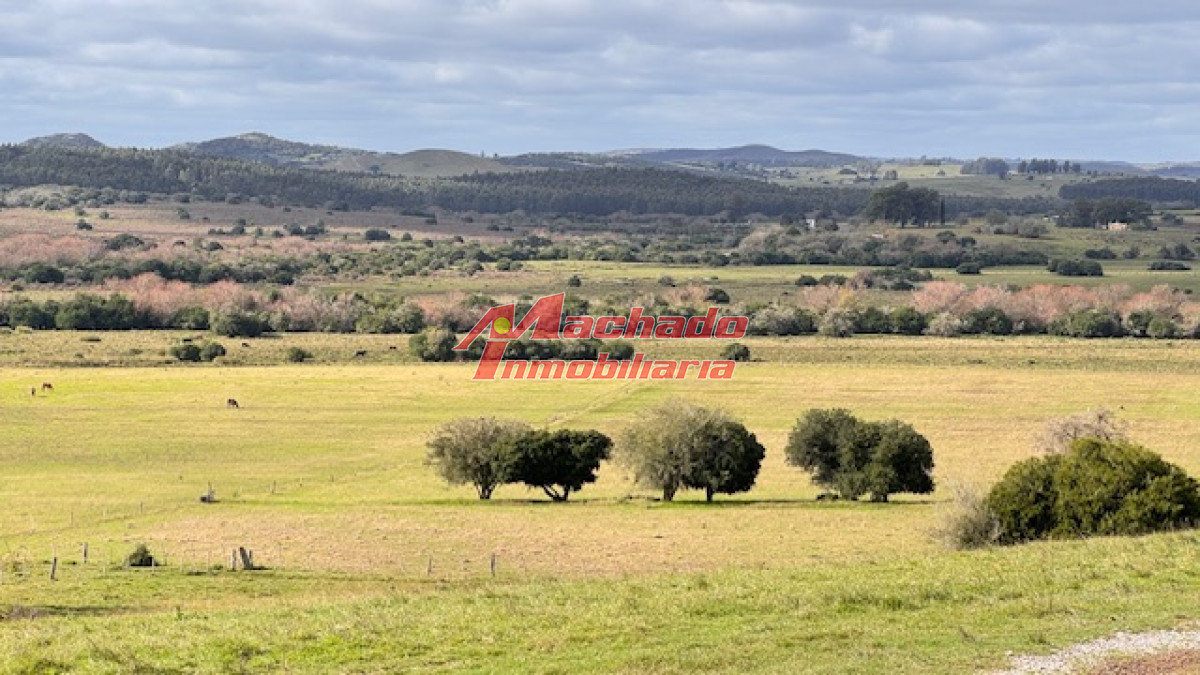 Campo 57 has   Agricola Ganadero cerca de Minas! muy bueno! - GoPunta - Portal Inmobiliario de Punta del Este - Maldonado