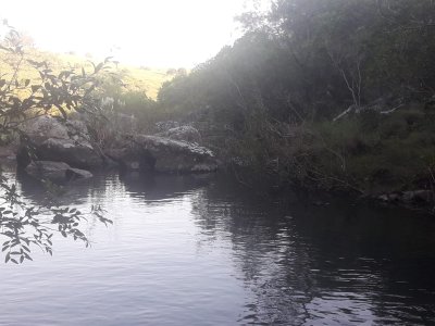 Campo en Paraje Carape - Consulte !!!!
