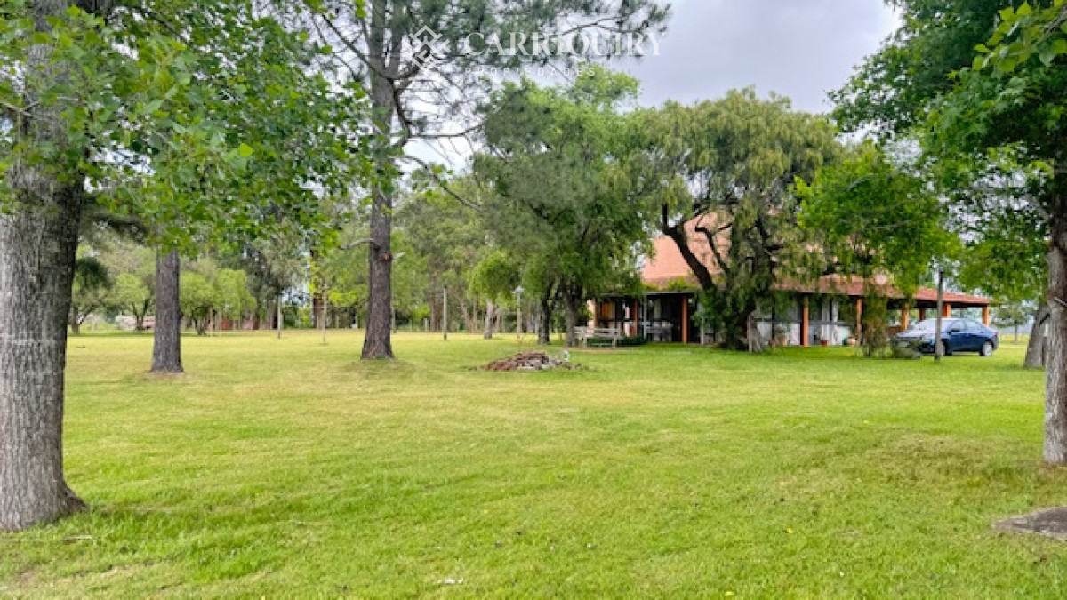 Campo 18 has con casa en los Ceibos y costa de arroyo. - GoPunta - Portal Inmobiliario de Punta del Este - Maldonado