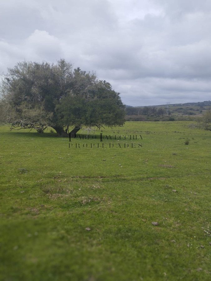 Campo Ref.377 - Hermosas chacras con vistas a las Sierras cerca de Aigua - Hay Financiación 