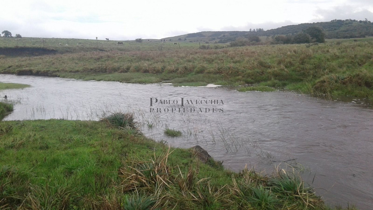 Campo Ref.341 - Campo en Lavalleja - 79 has con 8432 m2 - Turistico-ganadero