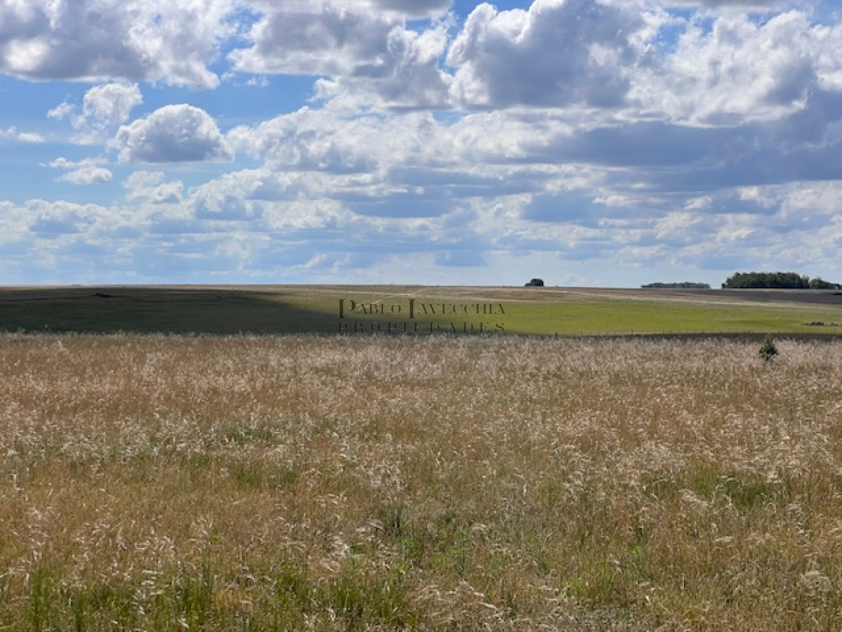 Campo Ref.337 - Campo en Durazno
