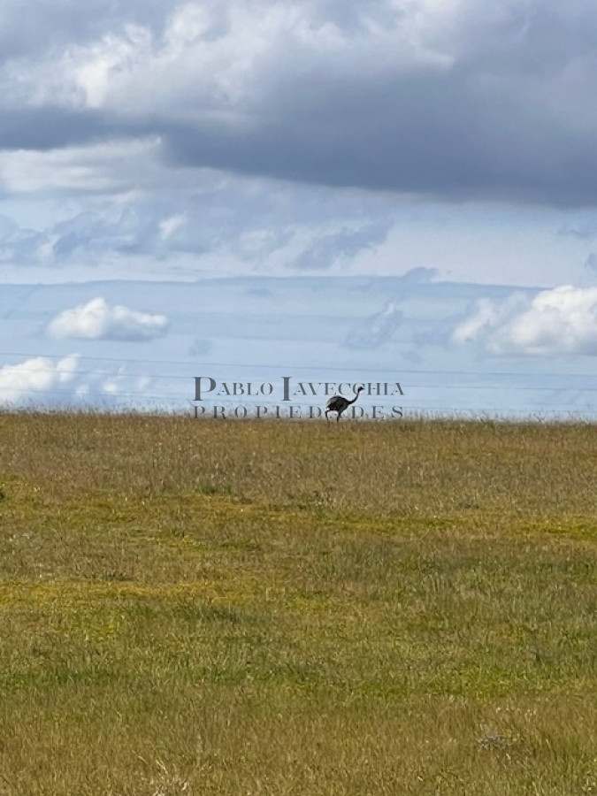 Campo Ref.337 - Campo en Durazno