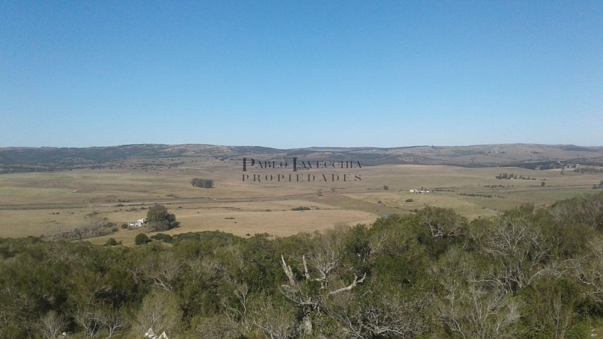 Campo Ref.341 - Campo en Lavalleja - 79 has con 8432 m2 - Turistico-ganadero