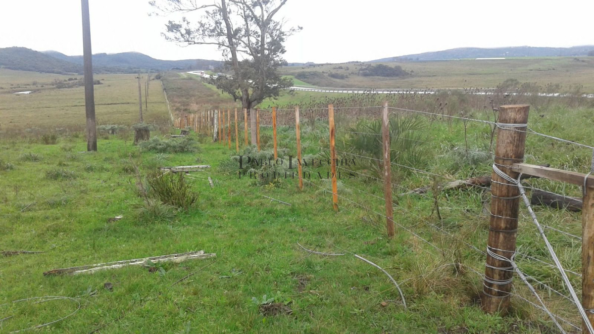 Campo Ref.341 - Campo en Lavalleja - 79 has con 8432 m2 - Turistico-ganadero