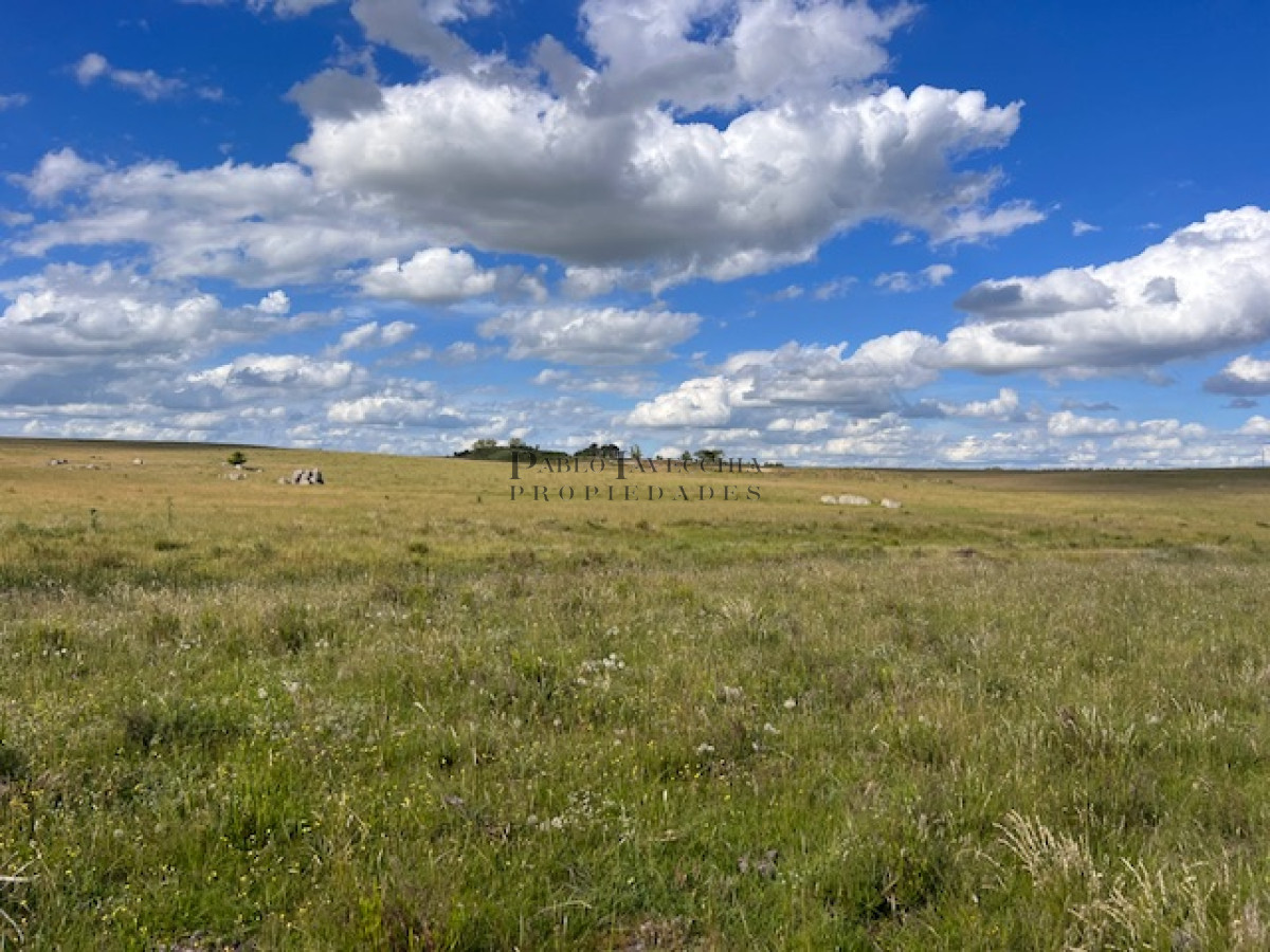 Campo Ref.337 - Campo en Durazno