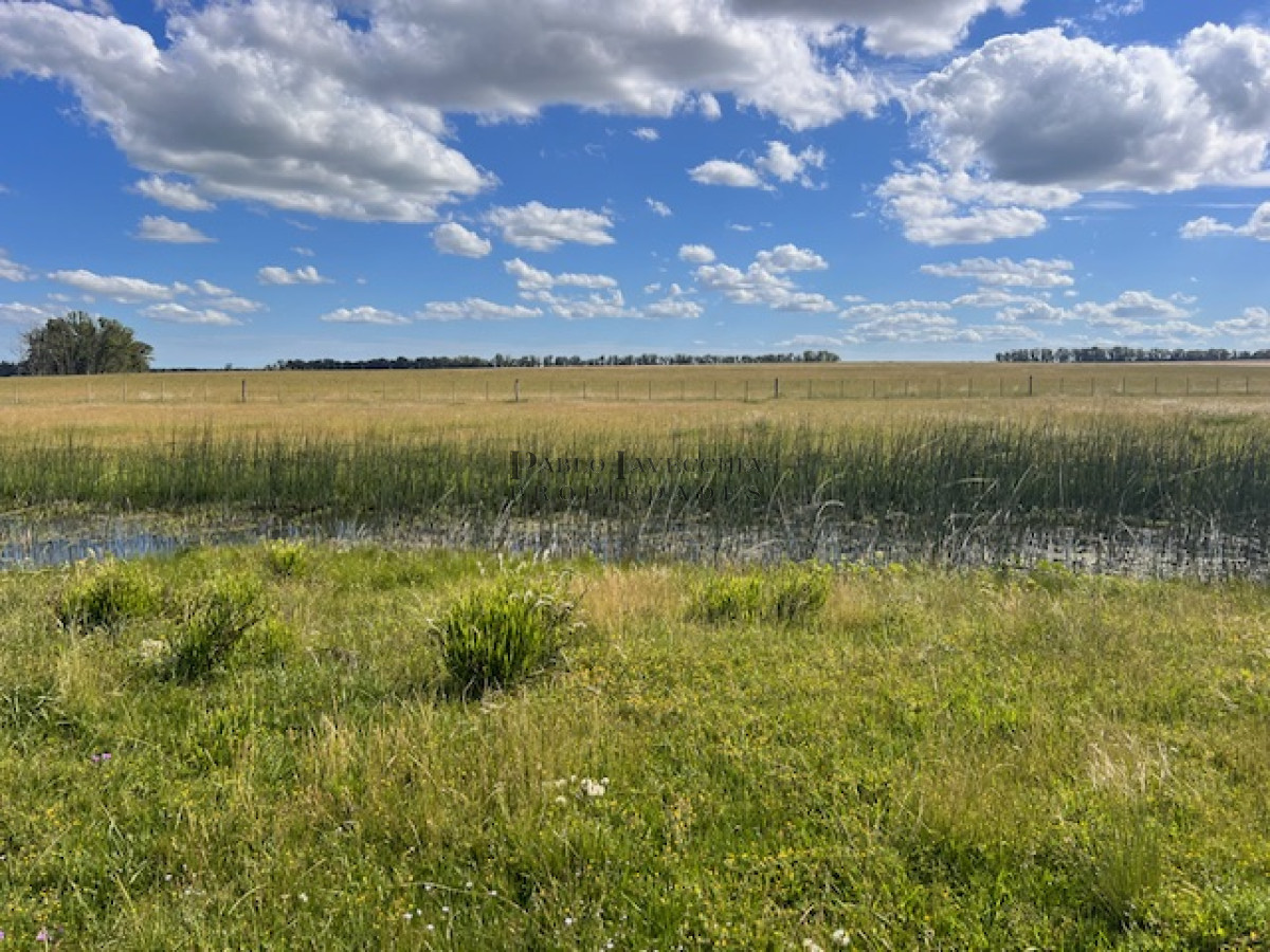 Campo Ref.337 - Campo en Durazno
