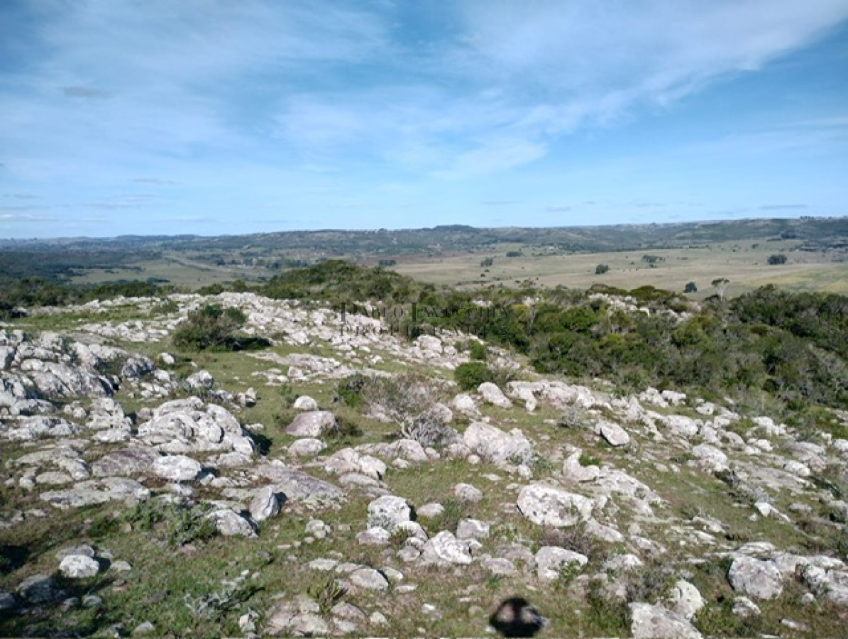 Campo Ref.341 - Campo en Lavalleja - 79 has con 8432 m2 - Turistico-ganadero