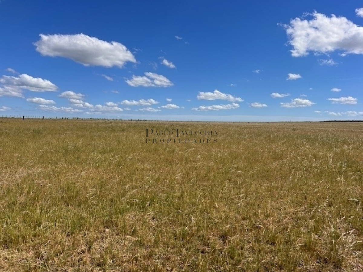 Campo Ref.337 - Campo en Durazno