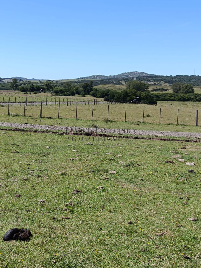 Campo Ref.377 - Hermosas chacras con vistas a las Sierras cerca de Aigua - Hay Financiación 