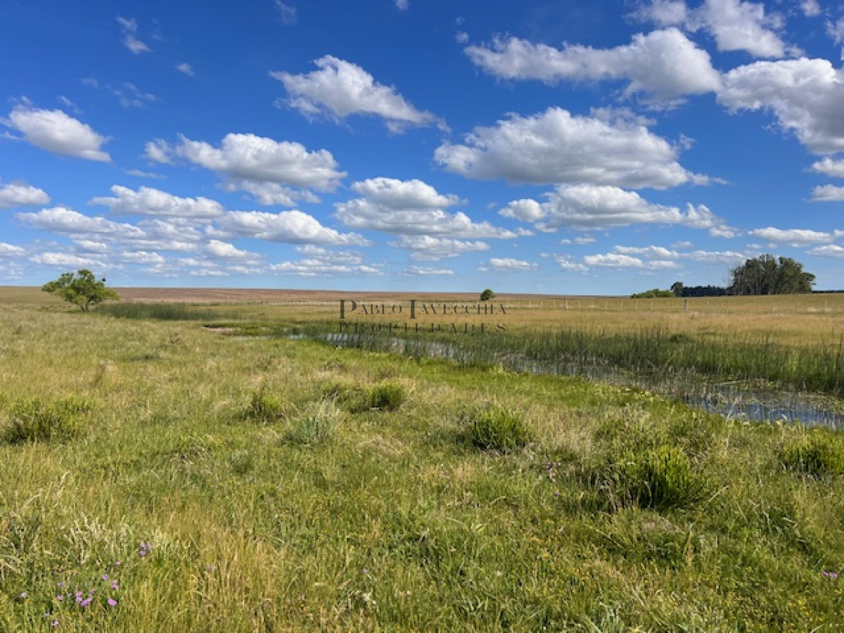 Campo Ref.337 - Campo en Durazno