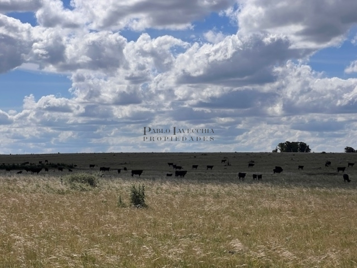 Campo Ref.337 - Campo en Durazno