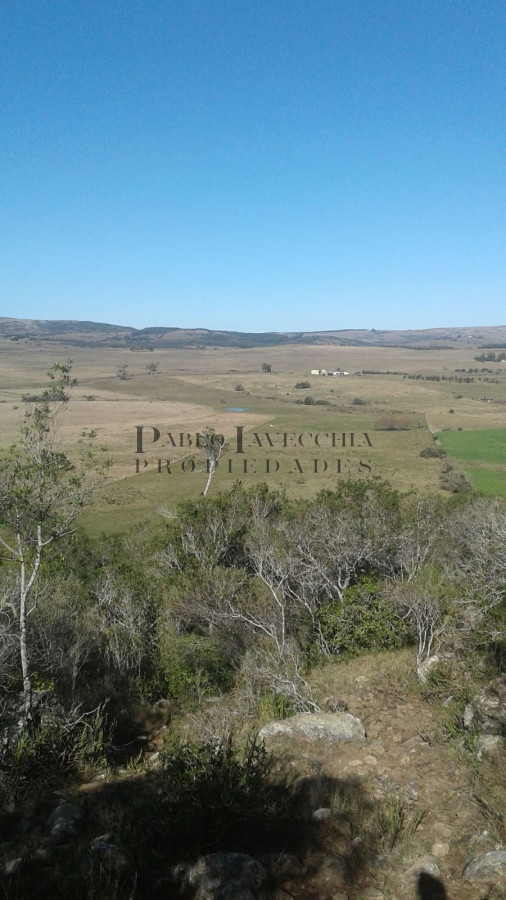 Campo Ref.341 - Campo en Lavalleja - 79 has con 8432 m2 - Turistico-ganadero