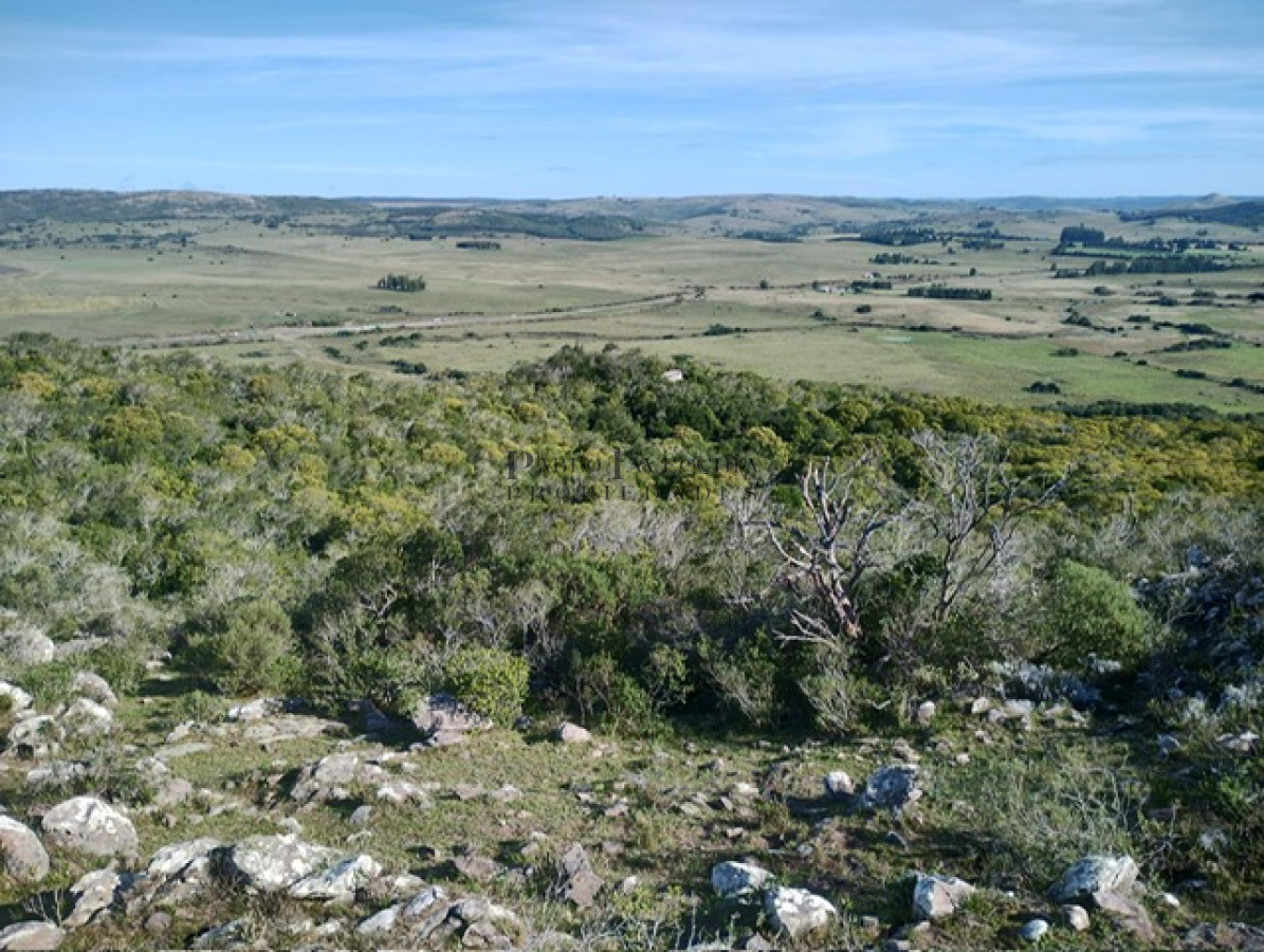 Campo Ref.341 - Campo en Lavalleja - 79 has con 8432 m2 - Turistico-ganadero