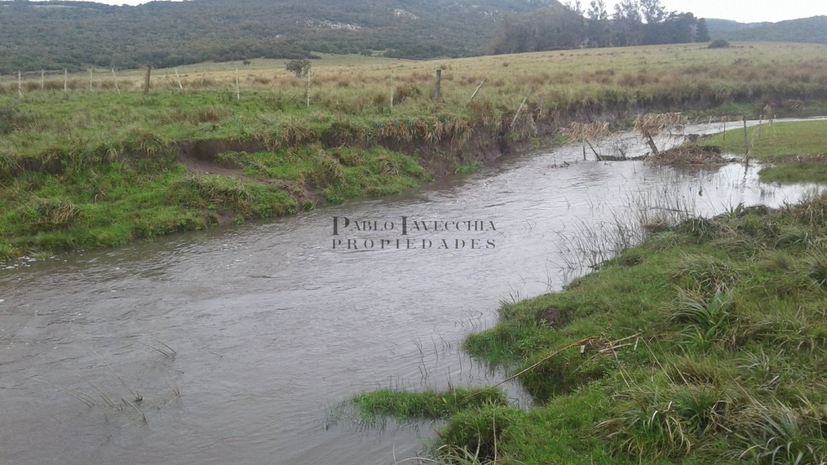 Campo Ref.341 - Campo en Lavalleja - 79 has con 8432 m2 - Turistico-ganadero