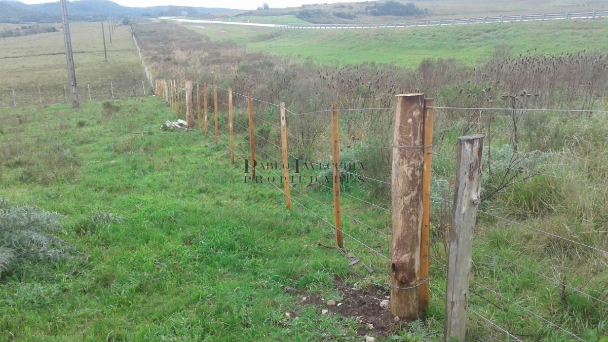 Campo Ref.341 - Campo en Lavalleja - 79 has con 8432 m2 - Turistico-ganadero