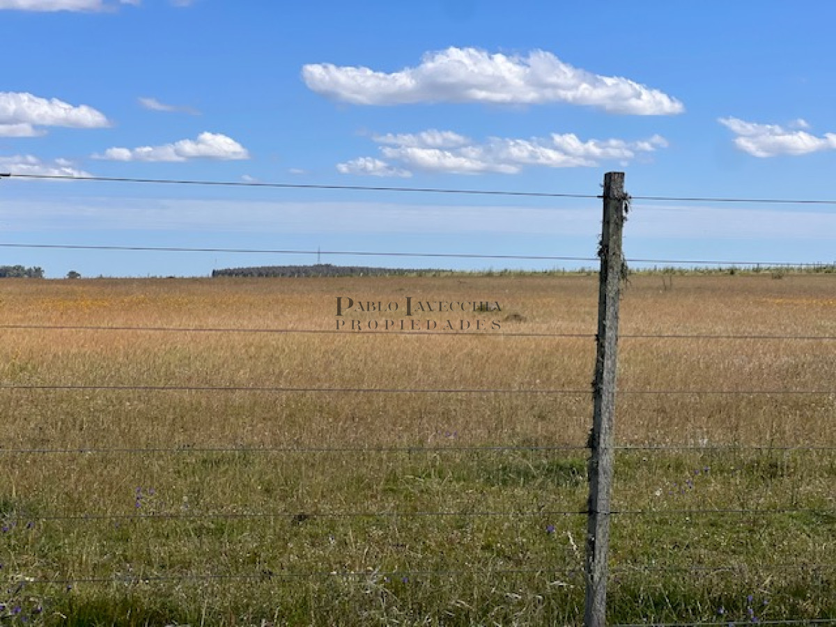 Campo Ref.337 - Campo en Durazno
