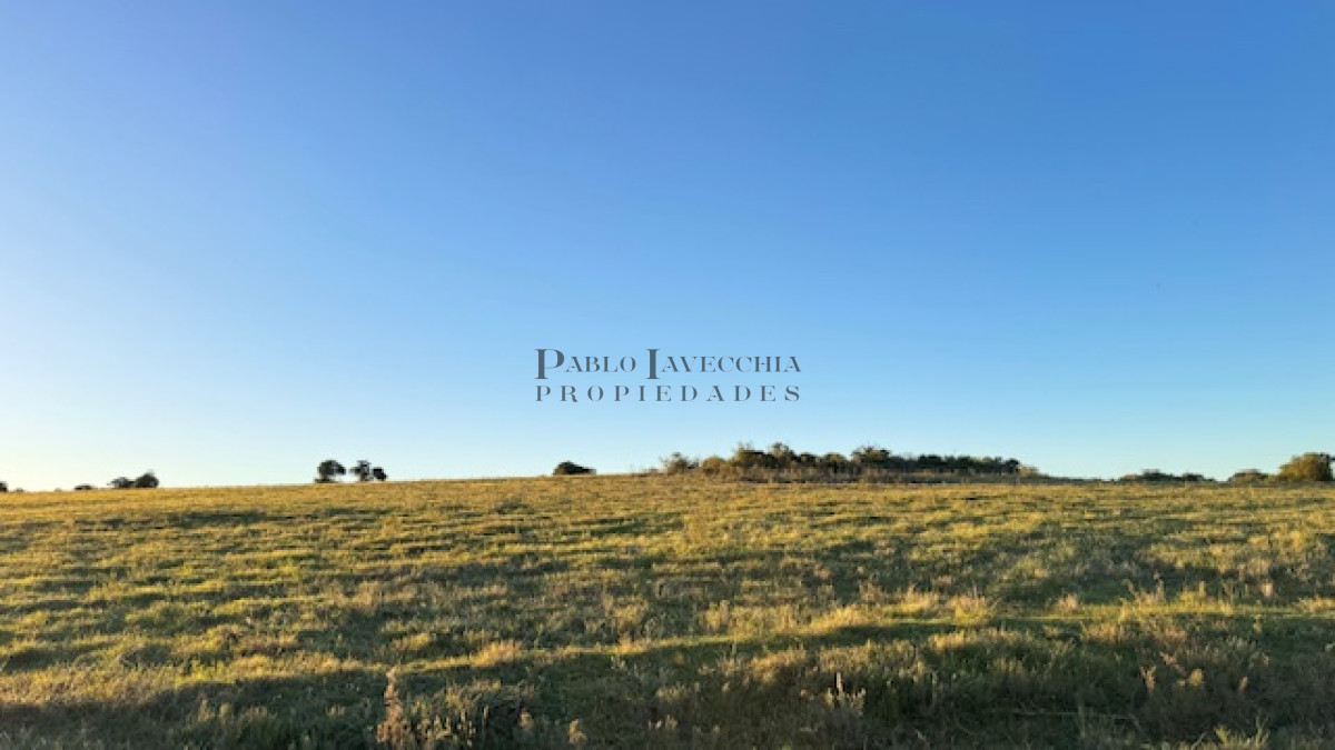 Campo Ref.373 - Hermosa Chacra de 6 has con 664 m2 - cerca de Piriapolis y del parque de fauna natural