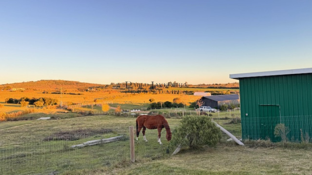 Campo Ref.373 - Hermosa Chacra de 6 has con 664 m2 - cerca de Piriapolis y del parque de fauna natural