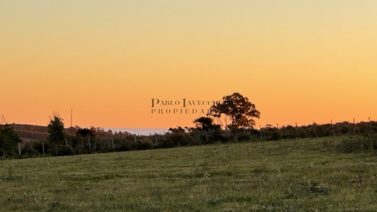 Campo Ref.373 - Hermosa Chacra de 6 has con 664 m2 - cerca de Piriapolis y del parque de fauna natural