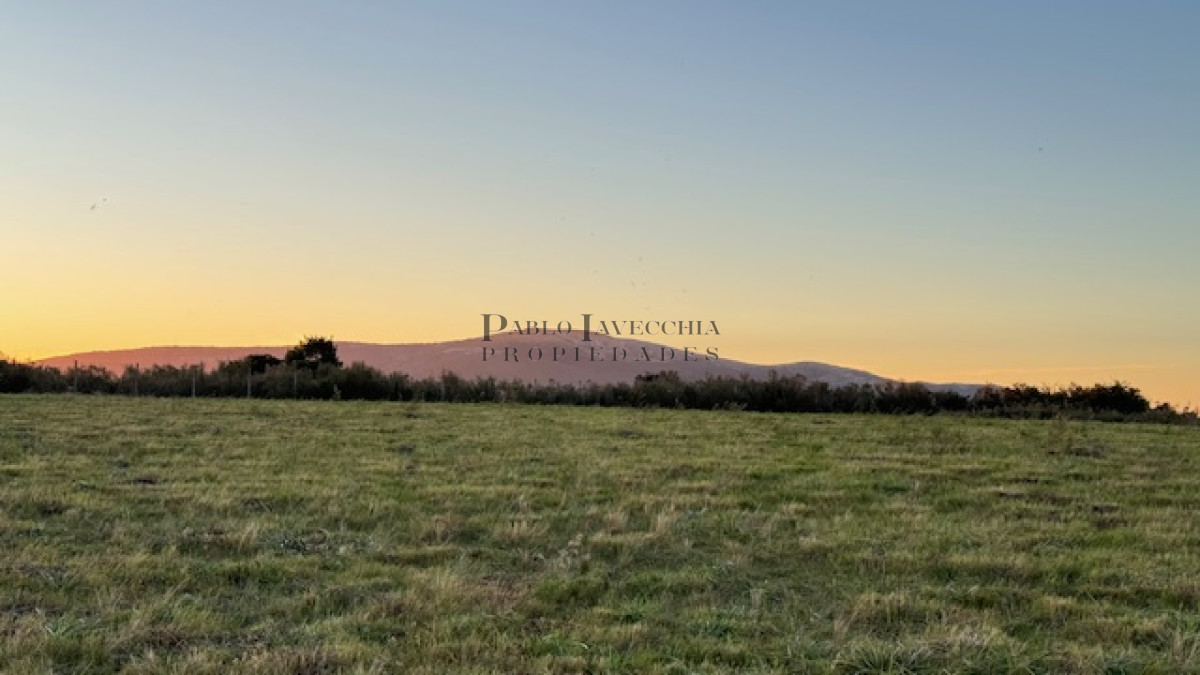 Campo Ref.373 - Hermosa Chacra de 6 has con 664 m2 - cerca de Piriapolis y del parque de fauna natural