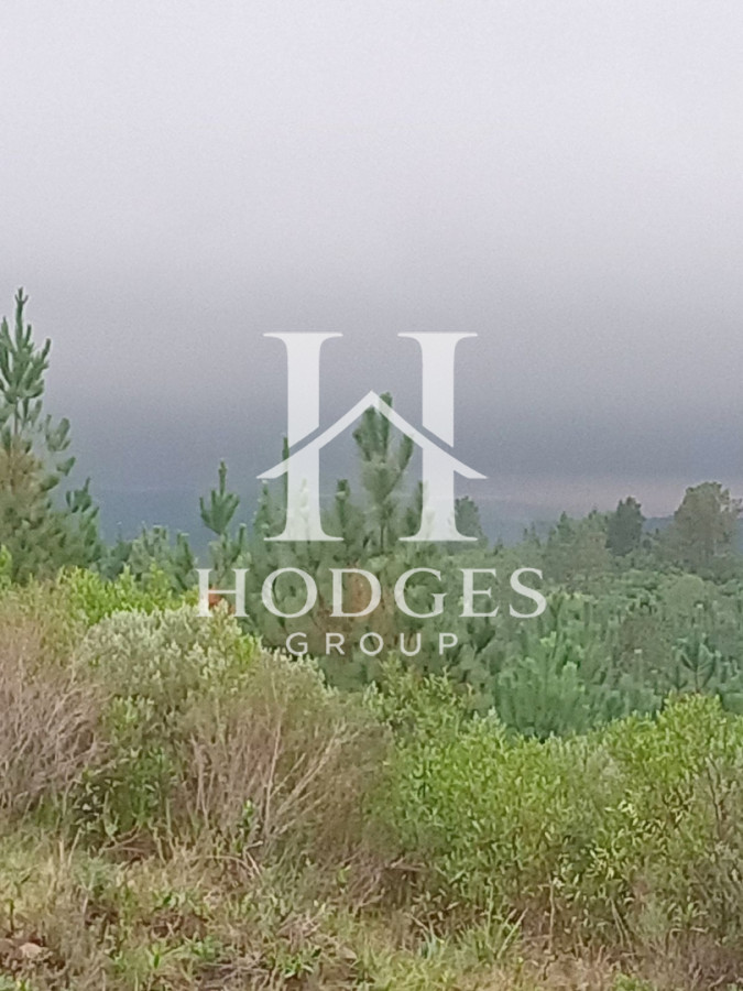 Chacra ID.516 - Chacra 5 has con 3520 m2 con casa en un entorno paradisíaco 