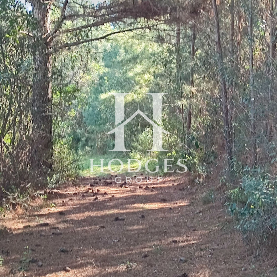 Chacra ID.516 - Chacra 5 has con 3520 m2 con casa en un entorno paradisíaco 