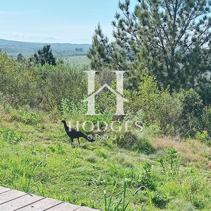 Chacra ID.516 - Chacra 5 has con 3520 m2 con casa en un entorno paradisíaco 