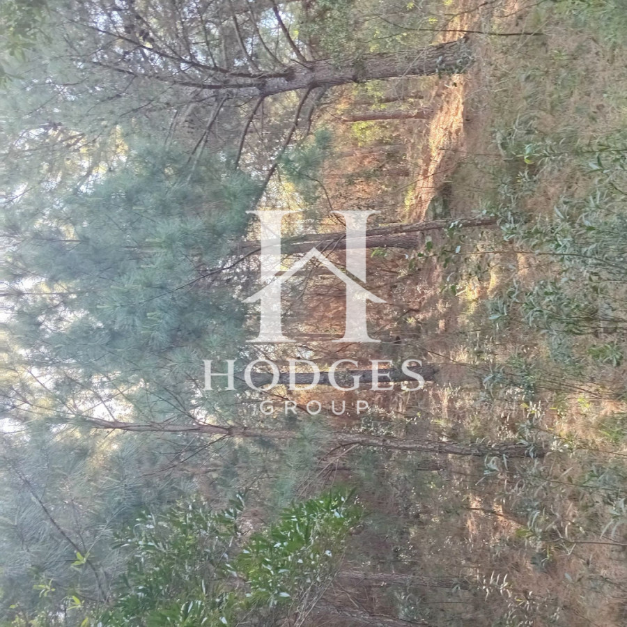 Chacra ID.516 - Chacra 5 has con 3520 m2 con casa en un entorno paradisíaco 