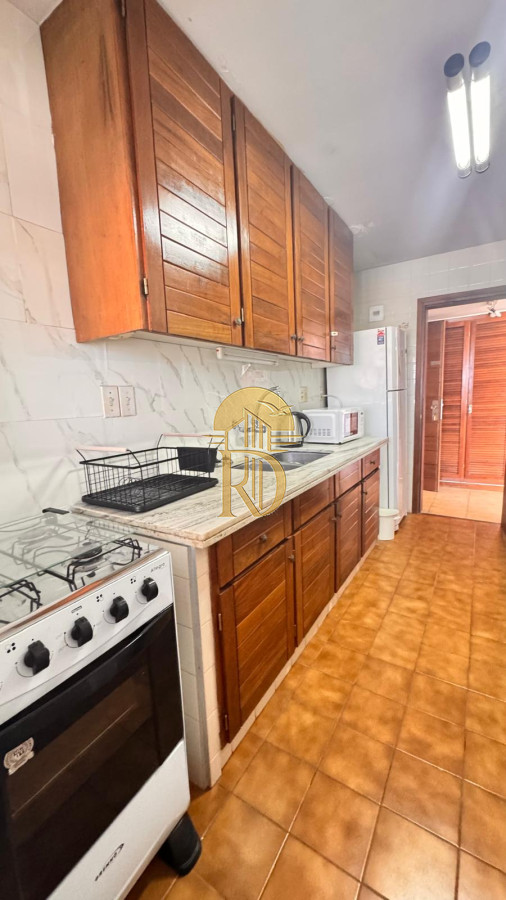 Encantador departamento con vista hermosa hacia brava. -id-393-10